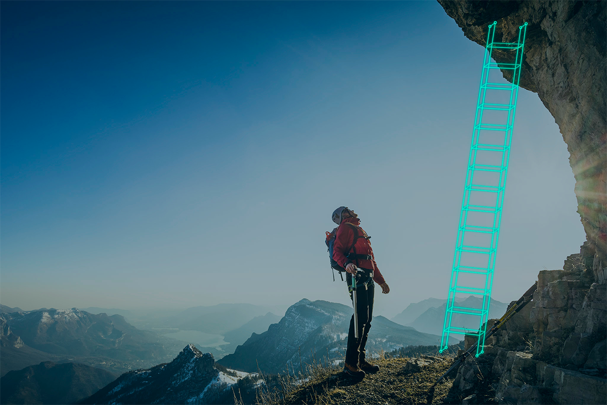 IMAGE 03 / The guided ascent