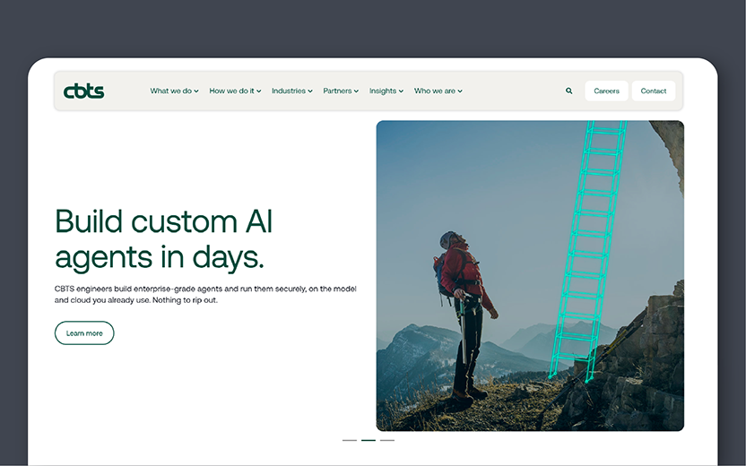 IMAGE 08 / Website launch assets